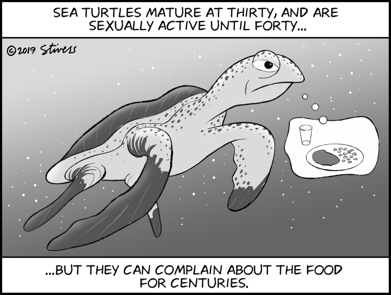 Sea turtles live long